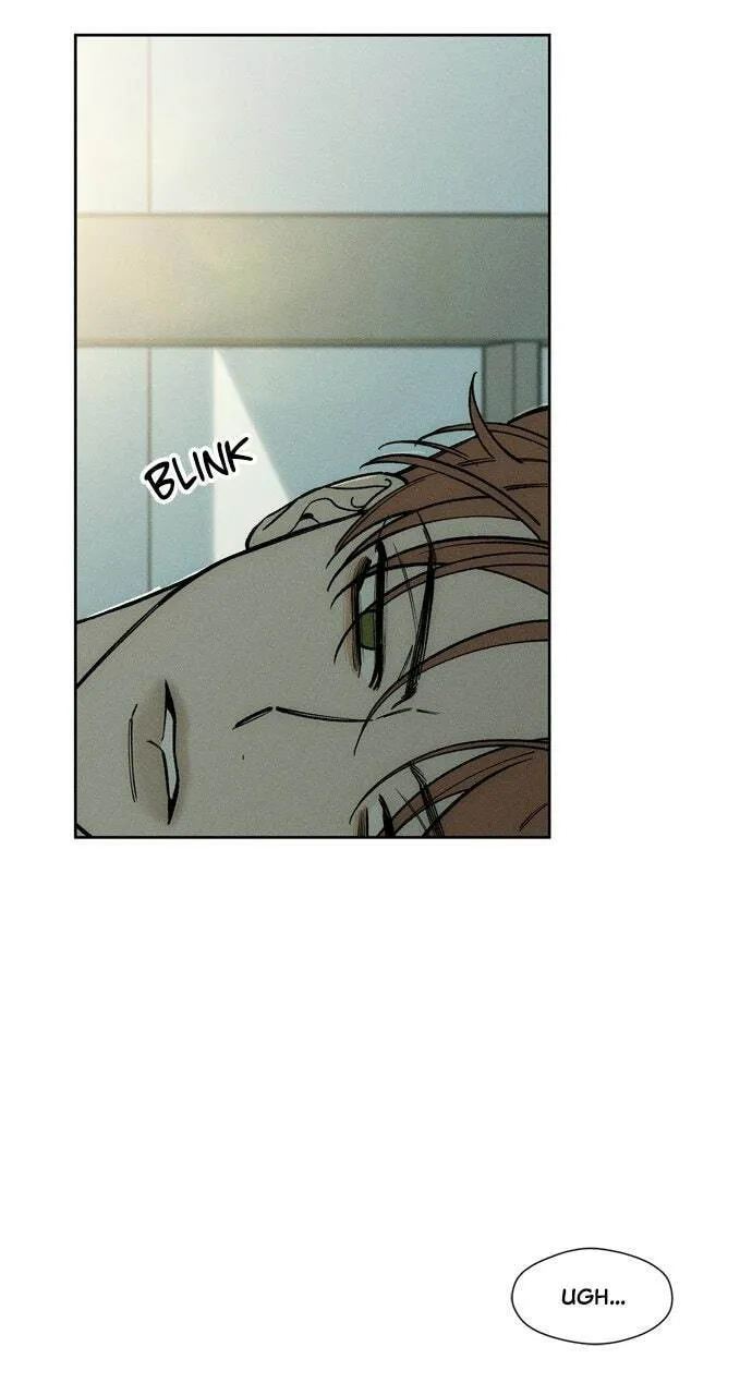 Tears On A Withered Flower