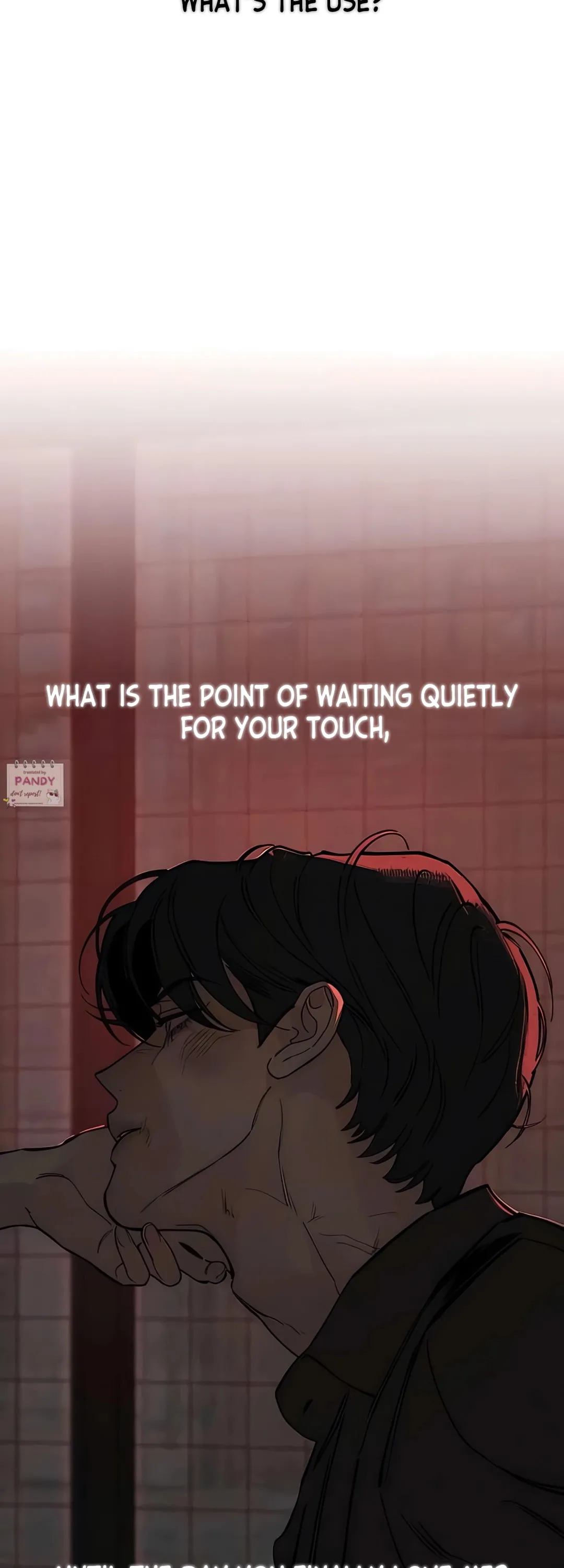 Tears On A Withered Flower