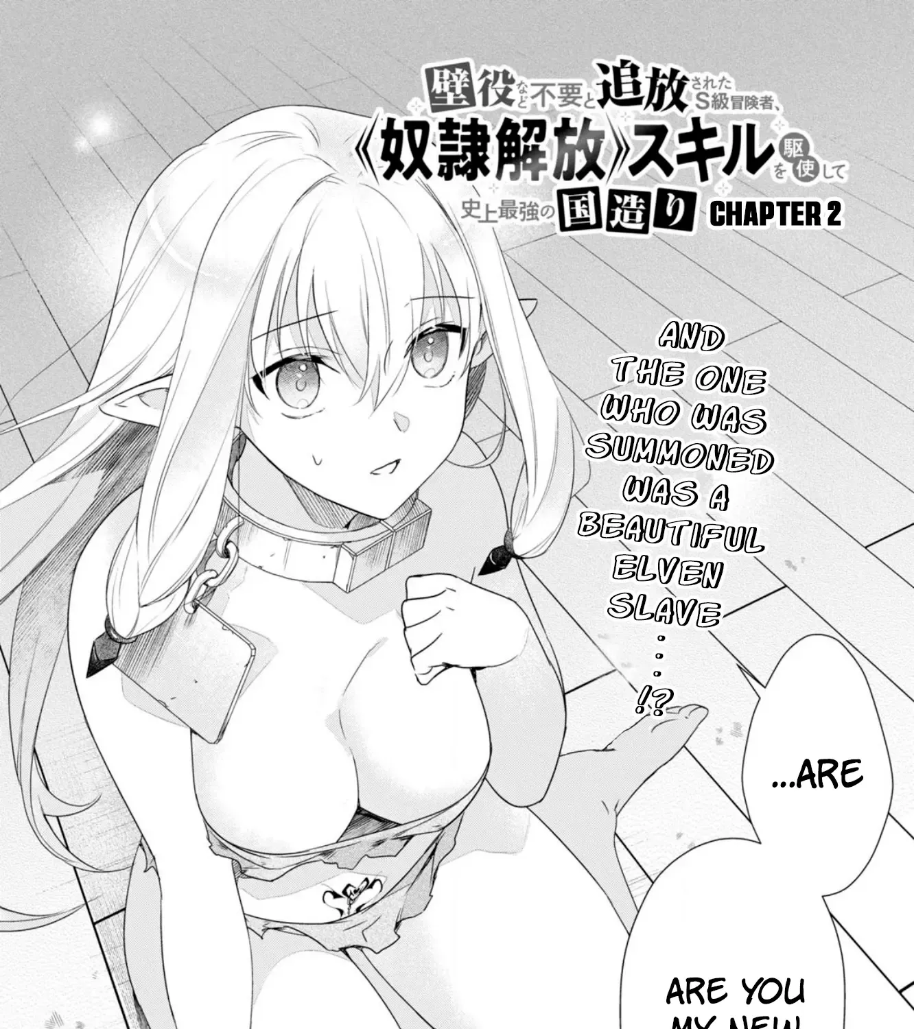 An S-class Adventurer, Banished as the Tank of the Party, Uses His 'Slave Release' Skill to Build the Strongest Country in History!