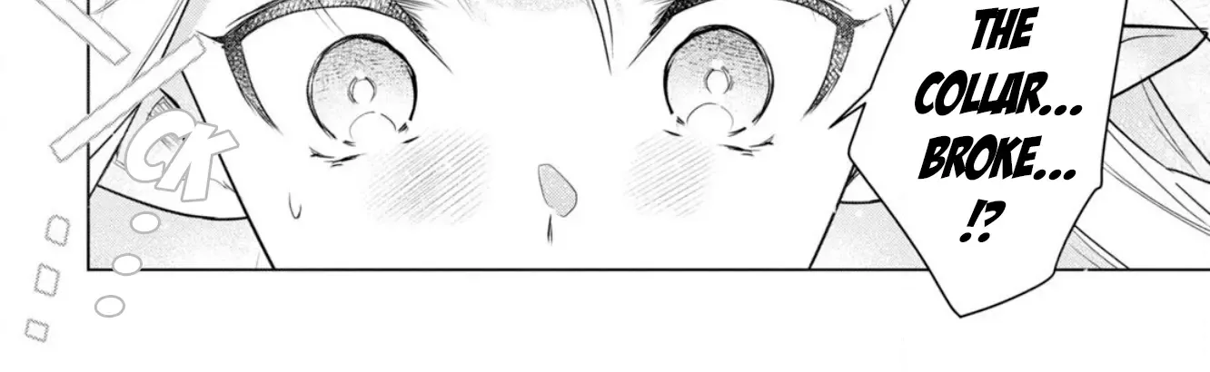 An S-class Adventurer, Banished as the Tank of the Party, Uses His 'Slave Release' Skill to Build the Strongest Country in History!