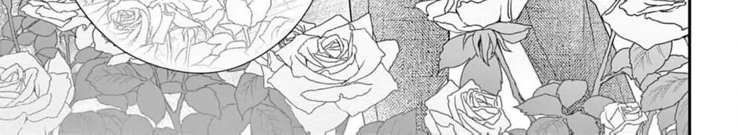 Hana wa Nido Sakimidareru