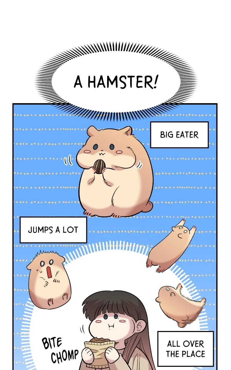 Childhood Friend Complex