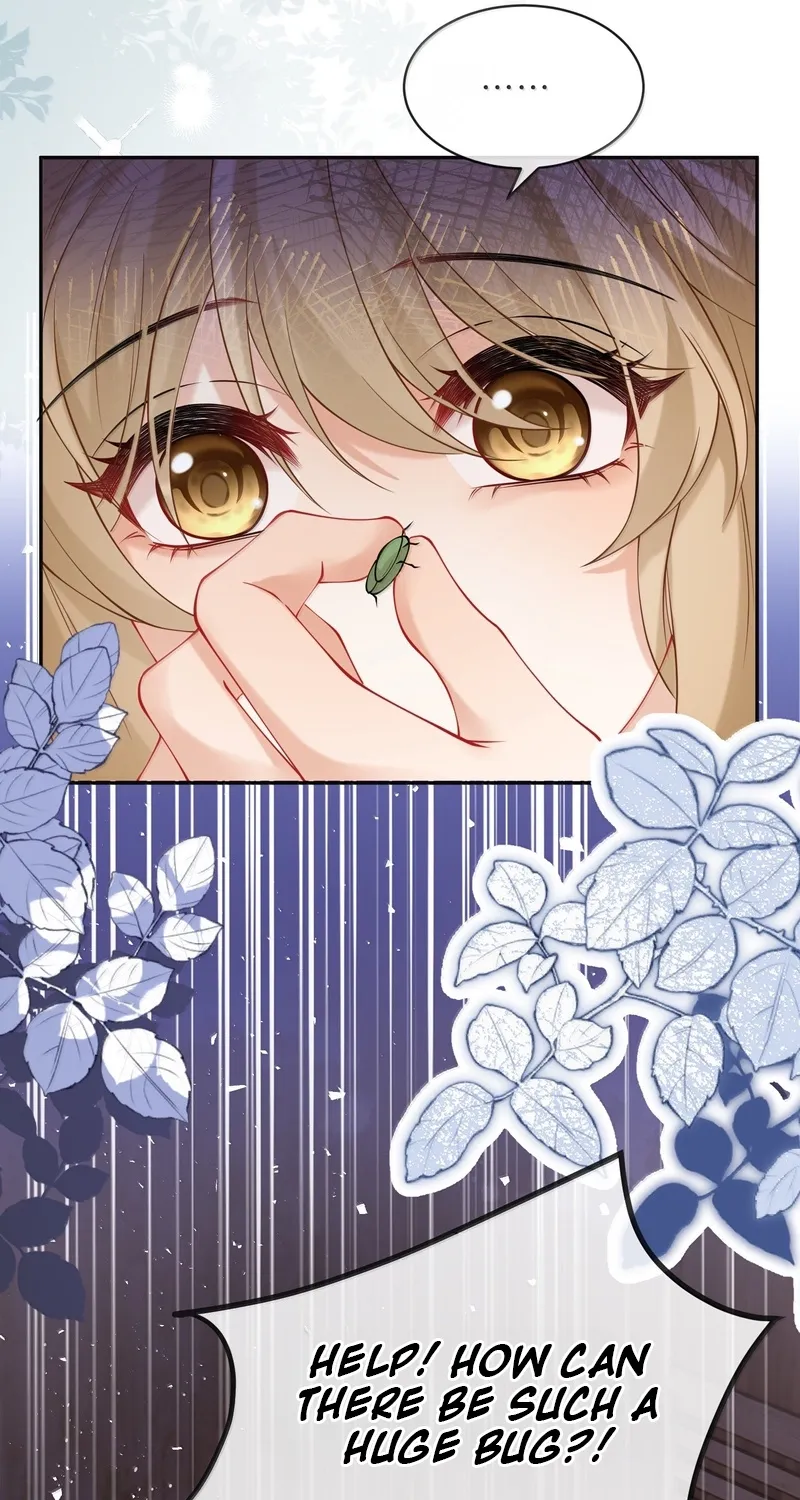 Heartfelt Diary
