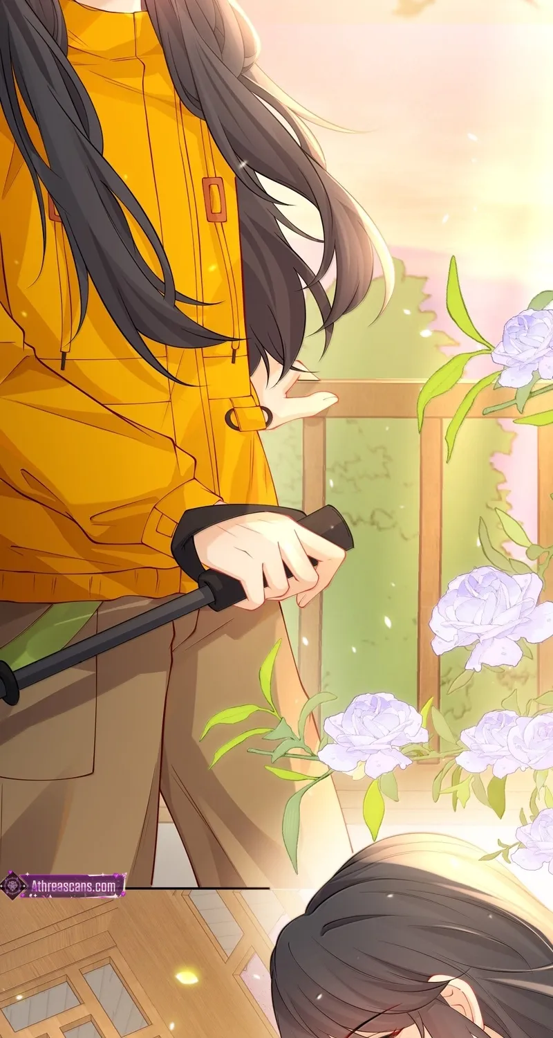 Heartfelt Diary